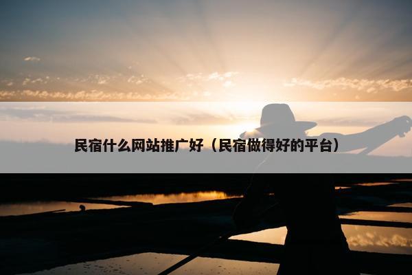 民宿什么网站推广好（民宿做得好的平台）