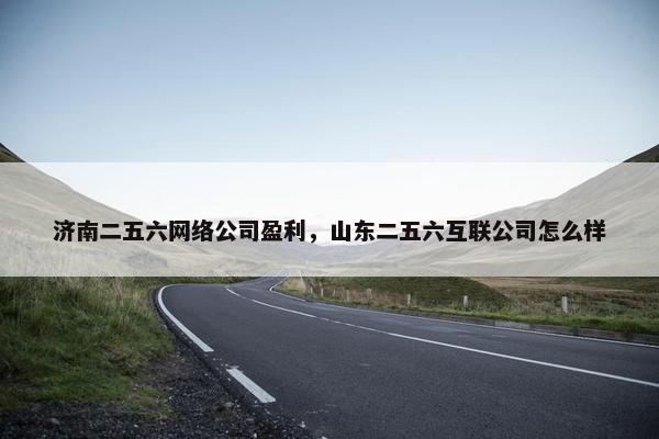 济南二五六网络公司盈利，山东二五六互联公司怎么样