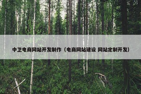 中卫电商网站开发制作（电商网站建设 网站定制开发）