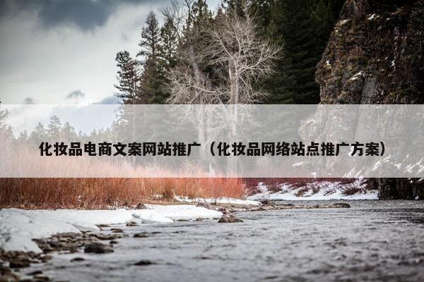 化妆品电商文案网站推广（化妆品网络站点推广方案）