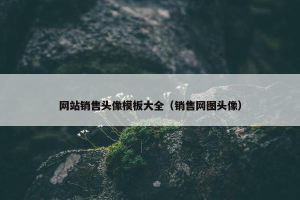 网站销售头像模板大全（销售网图头像）