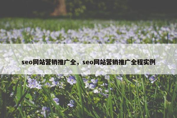 seo网站营销推广全，seo网站营销推广全程实例