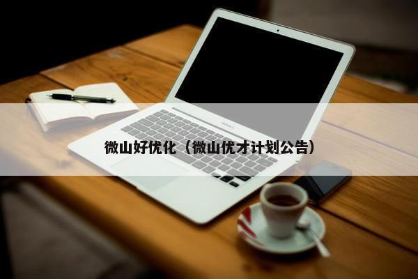 微山好优化（微山优才计划公告）