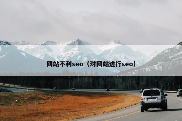 网站不利seo（对网站进行seo）