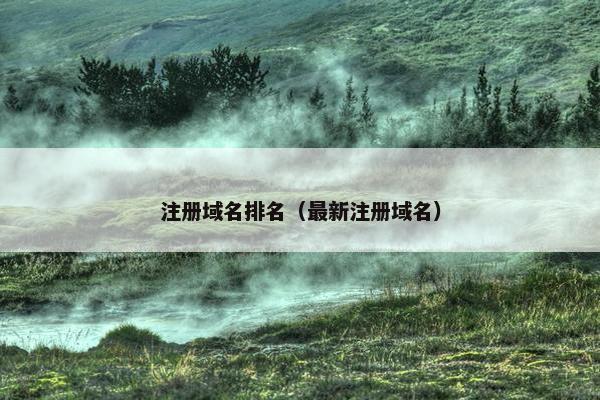 注册域名排名（最新注册域名）