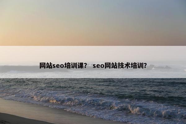 网站seo培训课？ seo网站技术培训？