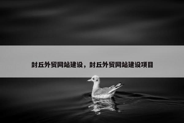 封丘外贸网站建设，封丘外贸网站建设项目