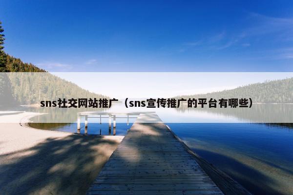 sns社交网站推广（sns宣传推广的平台有哪些）