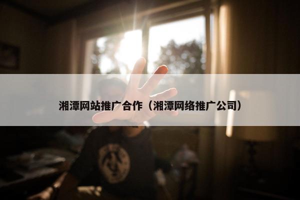 湘潭网站推广合作（湘潭网络推广公司）