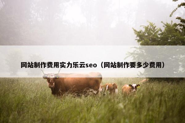 网站制作费用实力乐云seo（网站制作要多少费用）