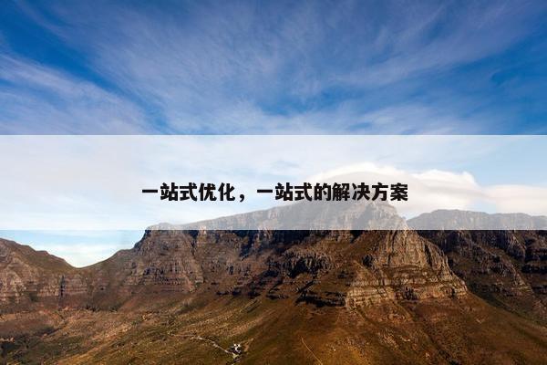 一站式优化，一站式的解决方案