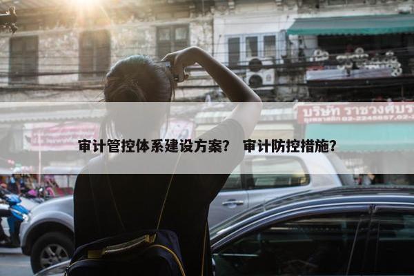 审计管控体系建设方案？ 审计防控措施？