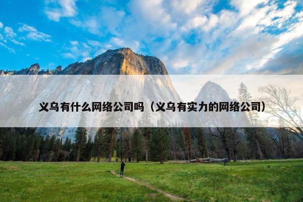义乌有什么网络公司吗（义乌有实力的网络公司）