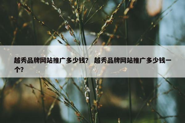 越秀品牌网站推广多少钱？ 越秀品牌网站推广多少钱一个？