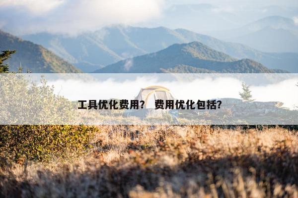工具优化费用？ 费用优化包括？