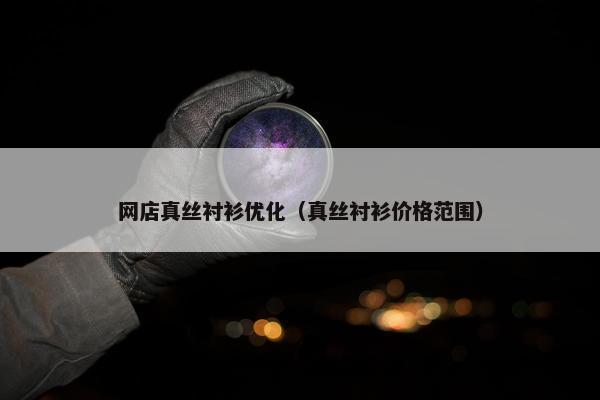 网店真丝衬衫优化（真丝衬衫价格范围）