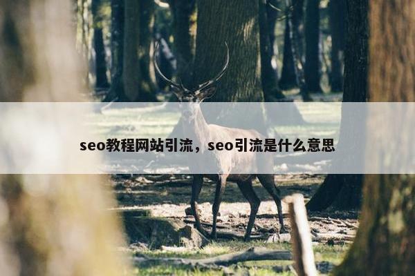 seo教程网站引流，seo引流是什么意思