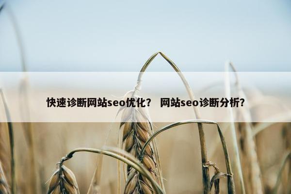 快速诊断网站seo优化？ 网站seo诊断分析？