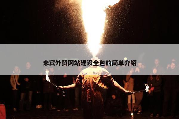 来宾外贸网站建设全包的简单介绍