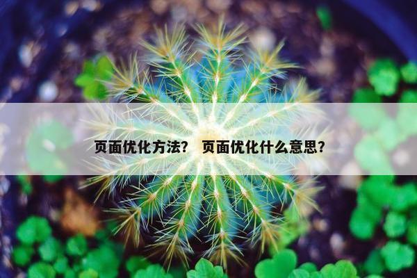 页面优化方法？ 页面优化什么意思？