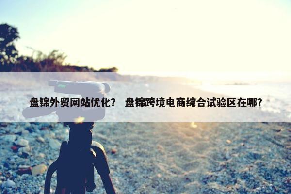 盘锦外贸网站优化？ 盘锦跨境电商综合试验区在哪？