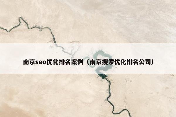 南京seo优化排名案例（南京搜索优化排名公司）