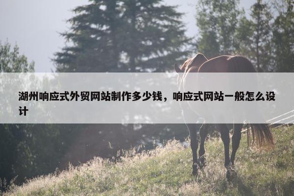 湖州响应式外贸网站制作多少钱，响应式网站一般怎么设计