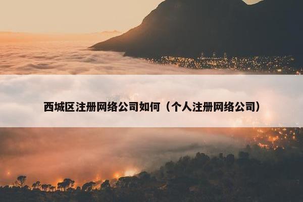西城区注册网络公司如何（个人注册网络公司）