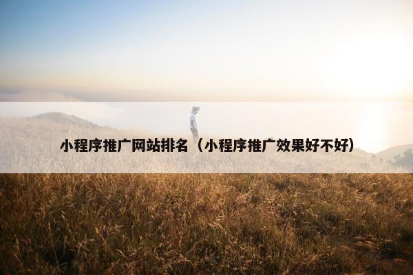 小程序推广网站排名（小程序推广效果好不好）