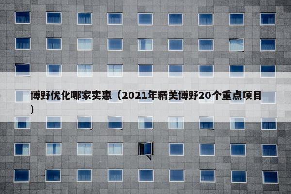 博野优化哪家实惠（2021年精美博野20个重点项目）