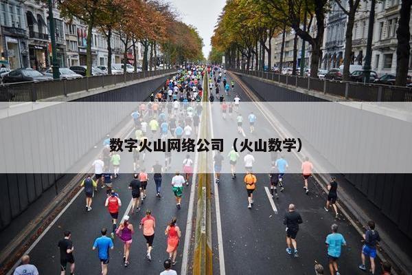 数字火山网络公司（火山数学）