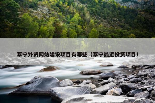 泰宁外贸网站建设项目有哪些（泰宁最近投资项目）