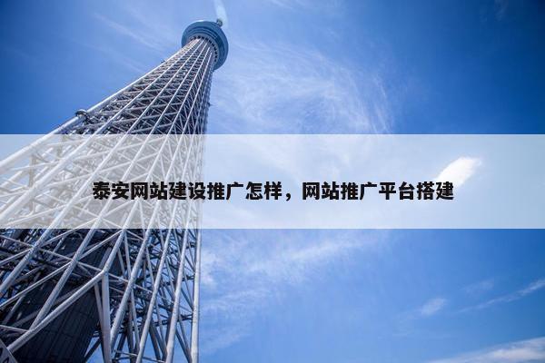 泰安网站建设推广怎样，网站推广平台搭建