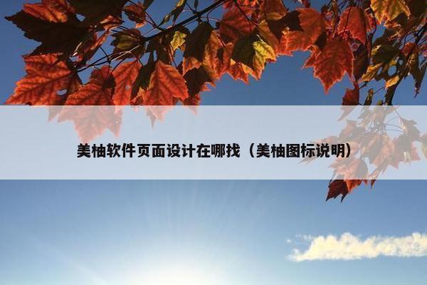 美柚软件页面设计在哪找（美柚图标说明）