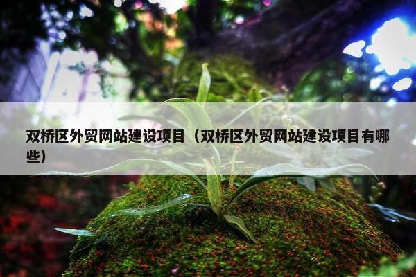 双桥区外贸网站建设项目（双桥区外贸网站建设项目有哪些）