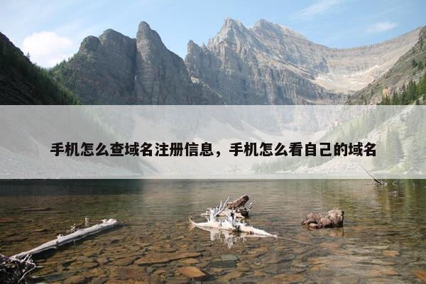 手机怎么查域名注册信息，手机怎么看自己的域名