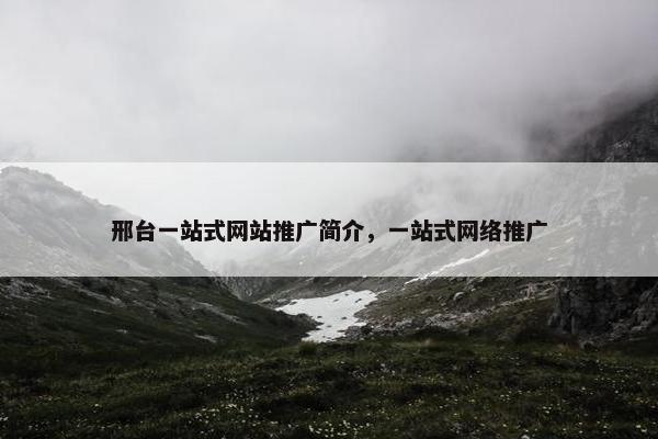 邢台一站式网站推广简介，一站式网络推广