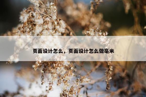 页面设计怎么，页面设计怎么做毫米