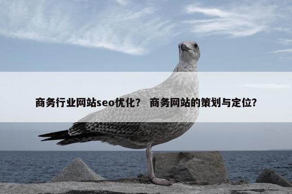 商务行业网站seo优化？ 商务网站的策划与定位？