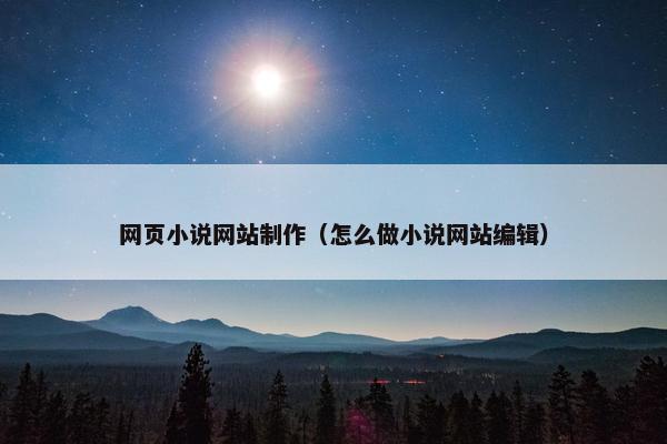 网页小说网站制作（怎么做小说网站编辑）