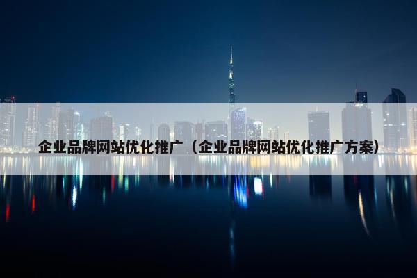 企业品牌网站优化推广（企业品牌网站优化推广方案）