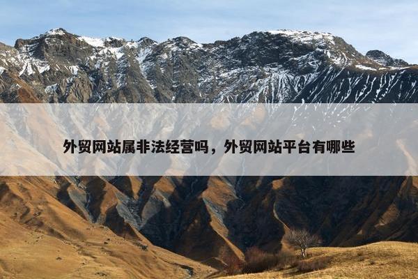 外贸网站属非法经营吗，外贸网站平台有哪些