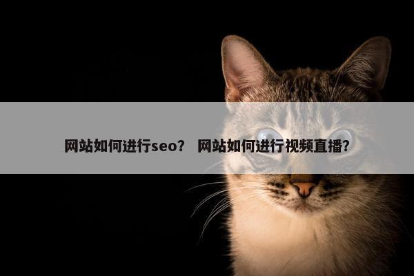 网站如何进行seo？ 网站如何进行视频直播？