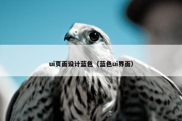ui页面设计蓝色（蓝色ui界面）