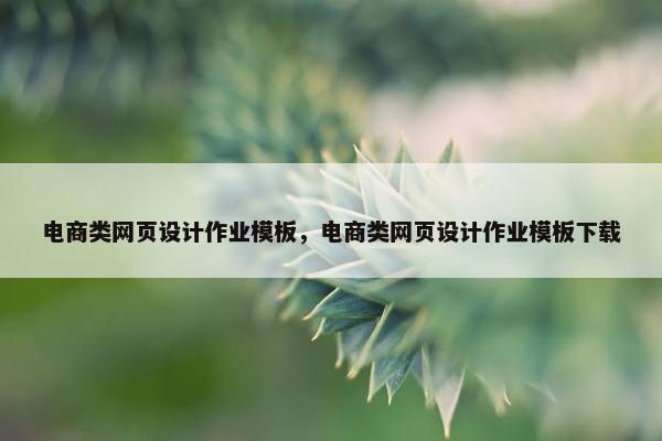 电商类网页设计作业模板，电商类网页设计作业模板下载