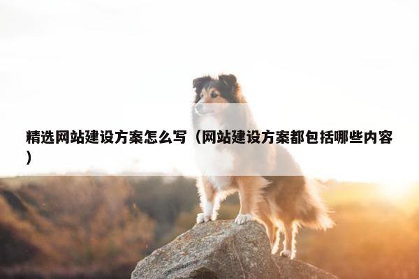 精选网站建设方案怎么写（网站建设方案都包括哪些内容）