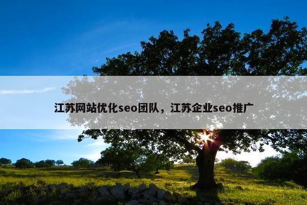 江苏网站优化seo团队，江苏企业seo推广