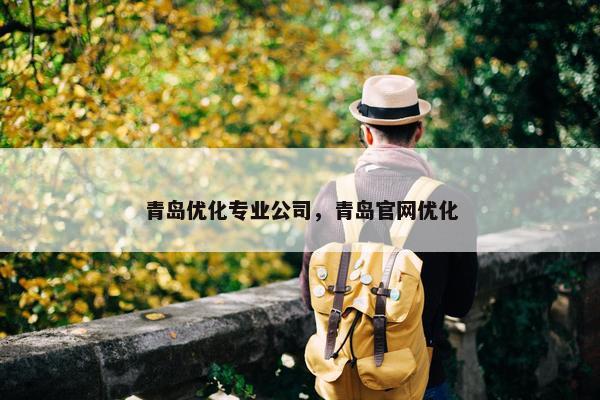 青岛优化专业公司，青岛官网优化