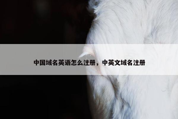 中国域名英语怎么注册，中英文域名注册