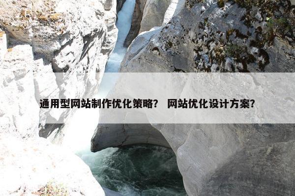 通用型网站制作优化策略？ 网站优化设计方案？
